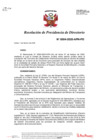 Vista preliminar de documento N°0004-2020-APN-PD