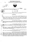 Vista preliminar de documento RDR 6439-2024