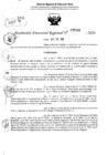 Vista preliminar de documento RDR 6441-2024