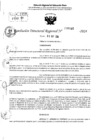 Vista preliminar de documento RDR 6446-2024