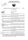Vista preliminar de documento RDR 6447-2024