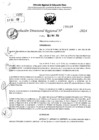 Vista preliminar de documento RDR 6449-2024
