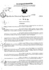 Vista preliminar de documento RDR 6452-2024