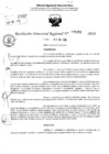 Vista preliminar de documento RDR 6453-2024