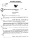Vista preliminar de documento RDR 6454-2024