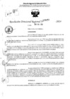 Vista preliminar de documento RDR 6459-2024