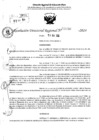 Vista preliminar de documento RDR 6460-2024