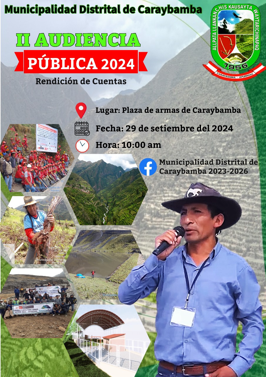 Audiencia Publica