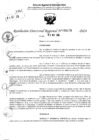 Vista preliminar de documento RDR 6474-2024