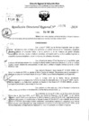 Vista preliminar de documento RDR 6476-2024