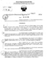 Vista preliminar de documento RDR 6477-2024
