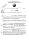 Vista preliminar de documento RDR 6482-2024