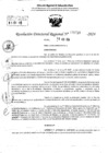 Vista preliminar de documento RDR 5739-2024