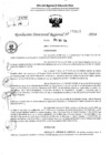 Vista preliminar de documento RDR 6485-2024