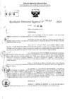 Vista preliminar de documento RDR 5743-2024