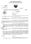 Vista preliminar de documento RDR 6487-2024