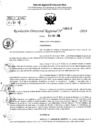 Vista preliminar de documento RDR 6492-2024