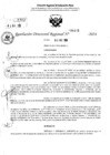 Vista preliminar de documento RDR 6493-2024
