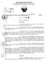 Vista preliminar de documento RDR 6495-2024