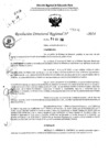 Vista preliminar de documento RDR 6496-2024