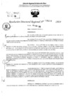 Vista preliminar de documento RDR 6498-2024
