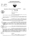 Vista preliminar de documento RDR 6499-2024