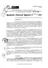 Vista preliminar de documento RDR 6501-2024