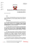 Vista preliminar de documento N°0008-2020-APN-PD