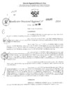 Vista preliminar de documento RDR 3162-2024