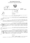 Vista preliminar de documento RDR 3163-2024