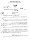 Vista preliminar de documento RDR 3164-2024