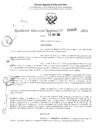 Vista preliminar de documento RDR 3165-2024