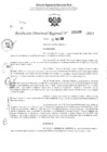 Vista preliminar de documento RDR 3166-2024