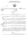 Vista preliminar de documento RDR 3167-2024