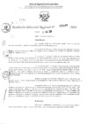 Vista preliminar de documento RDR 3169-2024