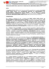 Vista preliminar de documento RD 295-2024