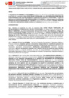 Vista preliminar de documento RD 300-2024