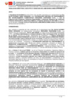 Vista preliminar de documento RD 305-2024