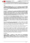 Vista preliminar de documento RD 306-2024
