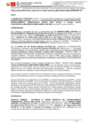 Vista preliminar de documento RD 307-2024