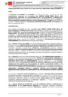 Vista preliminar de documento RD 316-2024