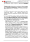 Vista preliminar de documento RD 336-2024