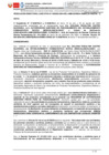 Vista preliminar de documento RD 383-2024