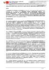 Vista preliminar de documento RD 381-2024