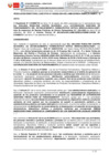 Vista preliminar de documento RD 382-2024