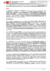 Vista preliminar de documento RD 377-2024
