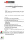 Vista preliminar de documento Directiva_007_2024_mimp