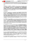 Vista preliminar de documento RD 365-2024