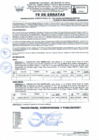 Vista preliminar de documento RD Nº 123-2024-FE DE ERRATAS-GLADYS