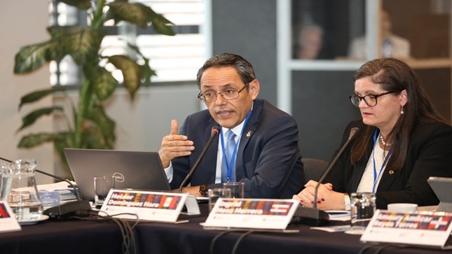Sobre los usos y desafíos de la ia en la justicia constitucional y la experiencia peruana expuso el vicepresidente del TC Helder Domínguez